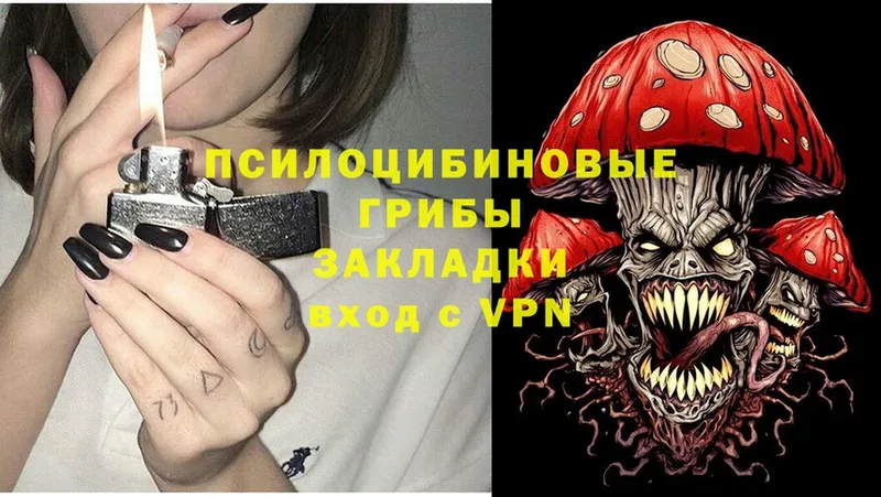 Галлюциногенные грибы Cubensis  Дальнереченск 